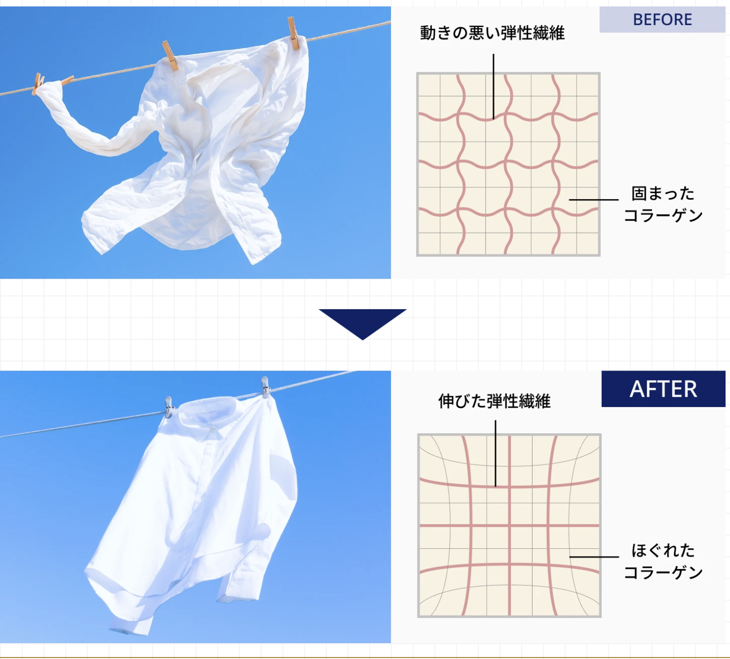 筋膜に特化した施術